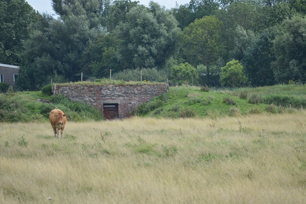 Bunker Vf-Flak Cadzand