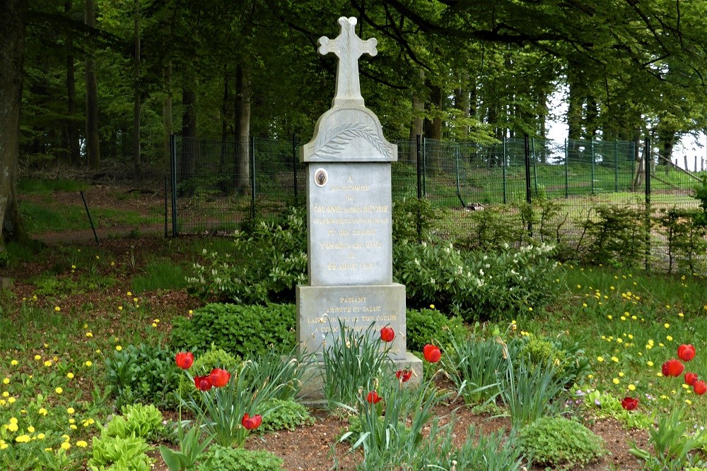 Memorial Colonel Henri Detrie #1