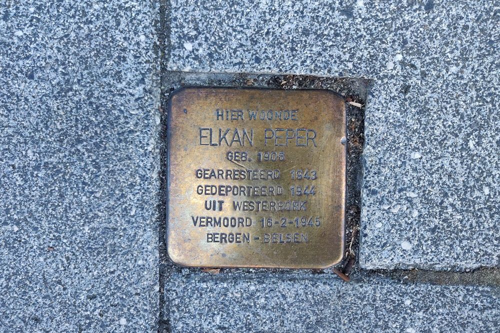 Stolperstein Rijnstraat 187