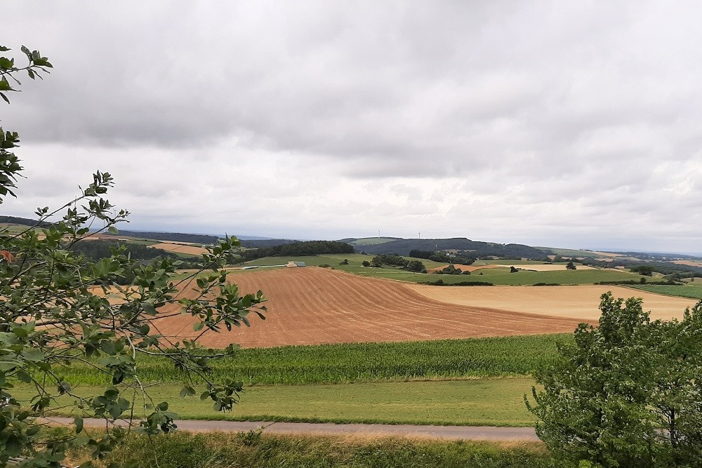 Flakstellung Zingsheim Bunker 5 #5