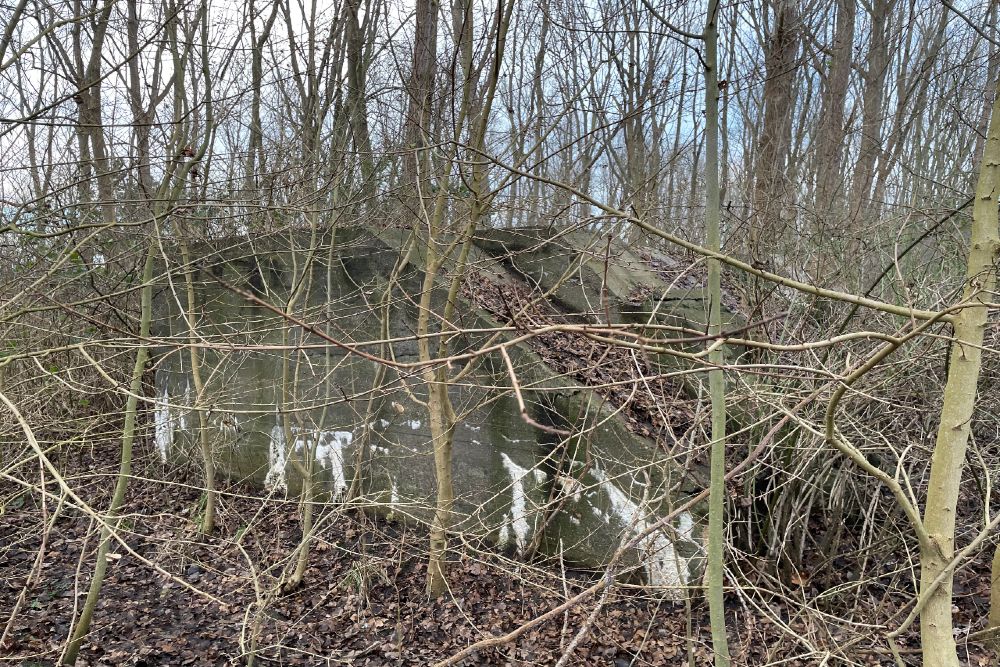 Group Shelter Type 1918/I Spaarndam