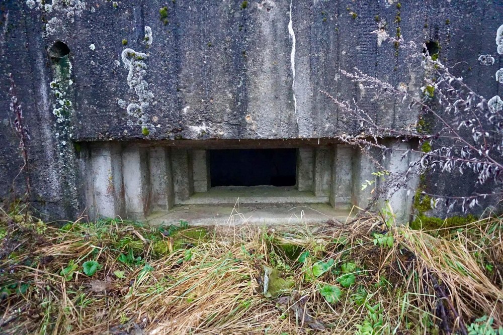 Sovjet Machinegeweer Bunker Maloye Sirkovo #2