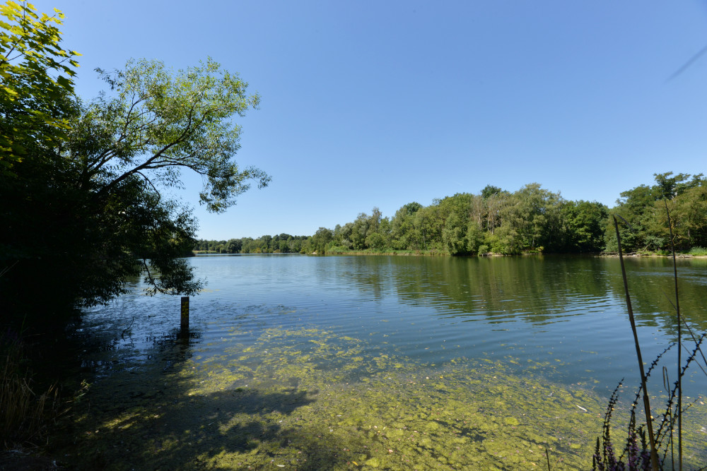 Silbersee Nürnberg #2