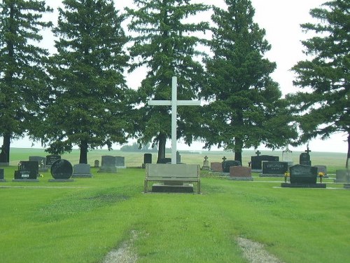 Commonwealth War Grave Swan Lake Cemetery