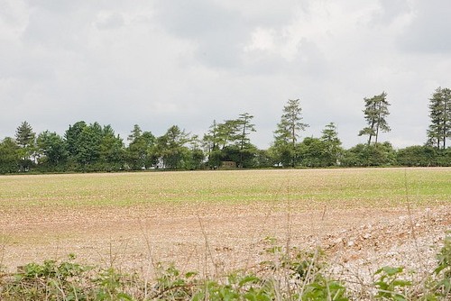 Pillbox FW3/24 South Wonston #1