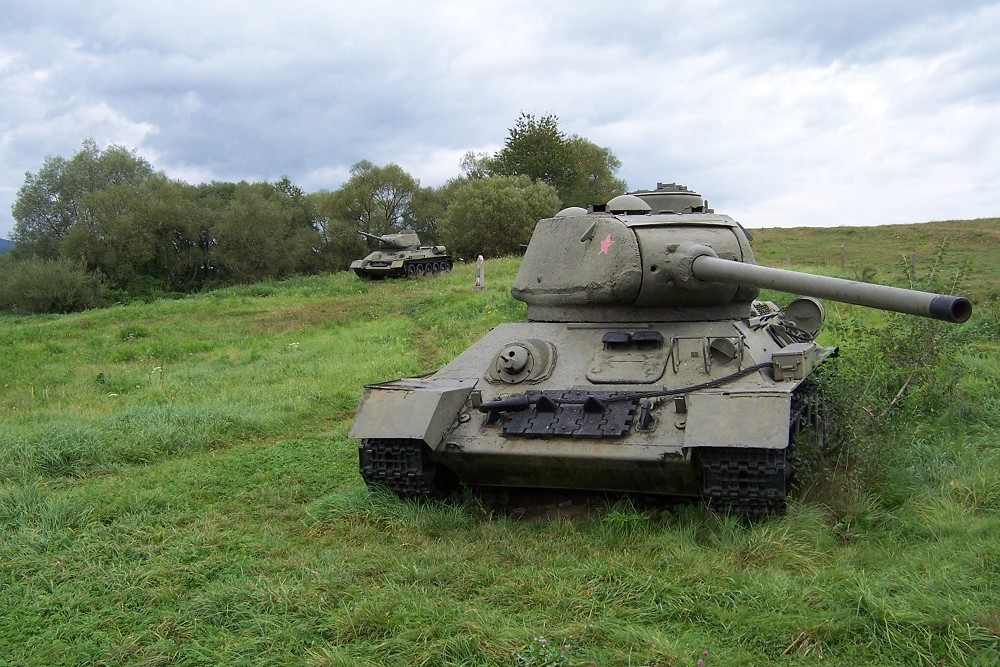 Soviet War Grave Kapiov #2