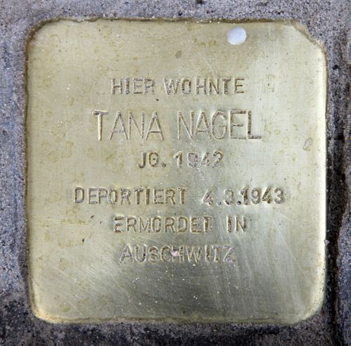Stolpersteine Gervinusstraße 18 #5