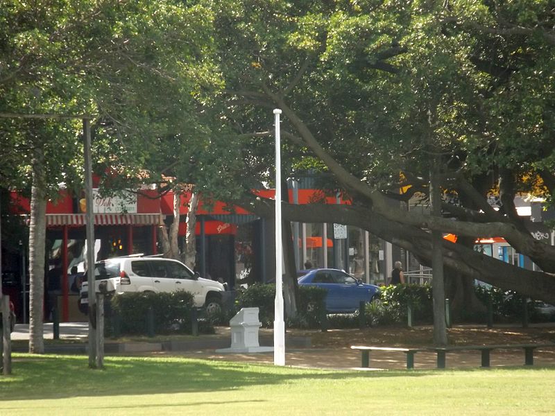 Avenue of Honour Bulimba