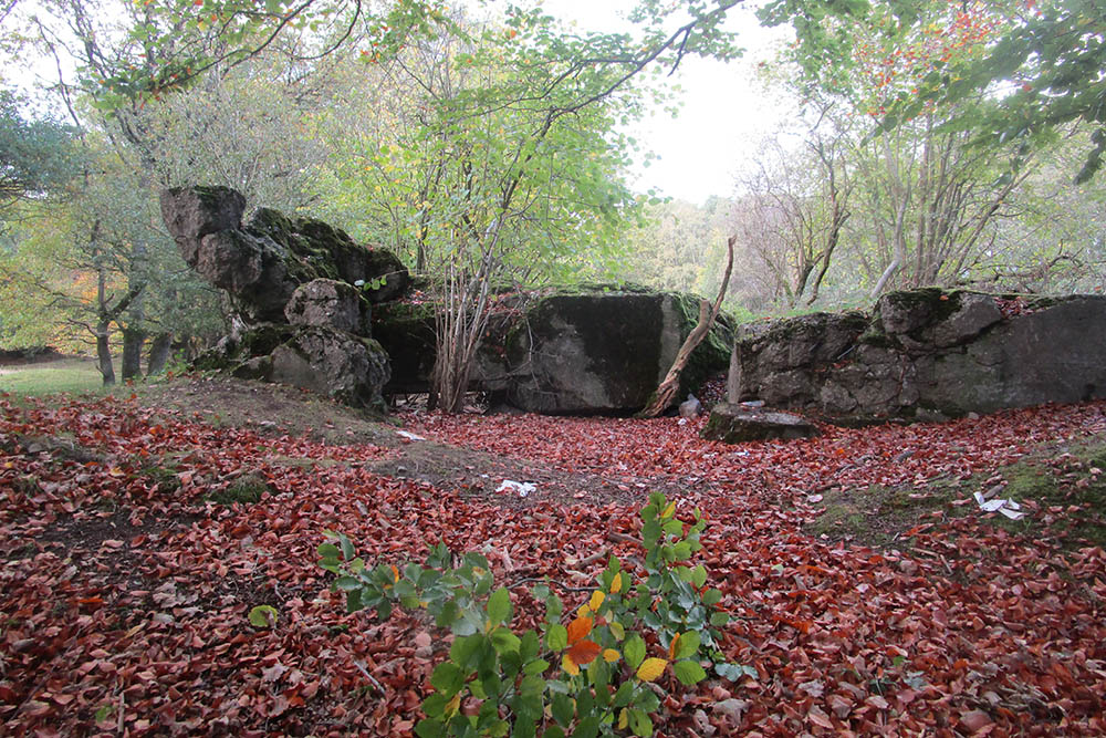 Westwall - Remains Bunker 482 (Regelbau 10 Gruppenunterstand) #2