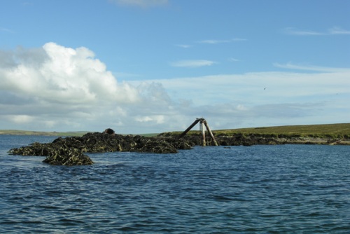 Anti-submarine Net Calf Sound #2