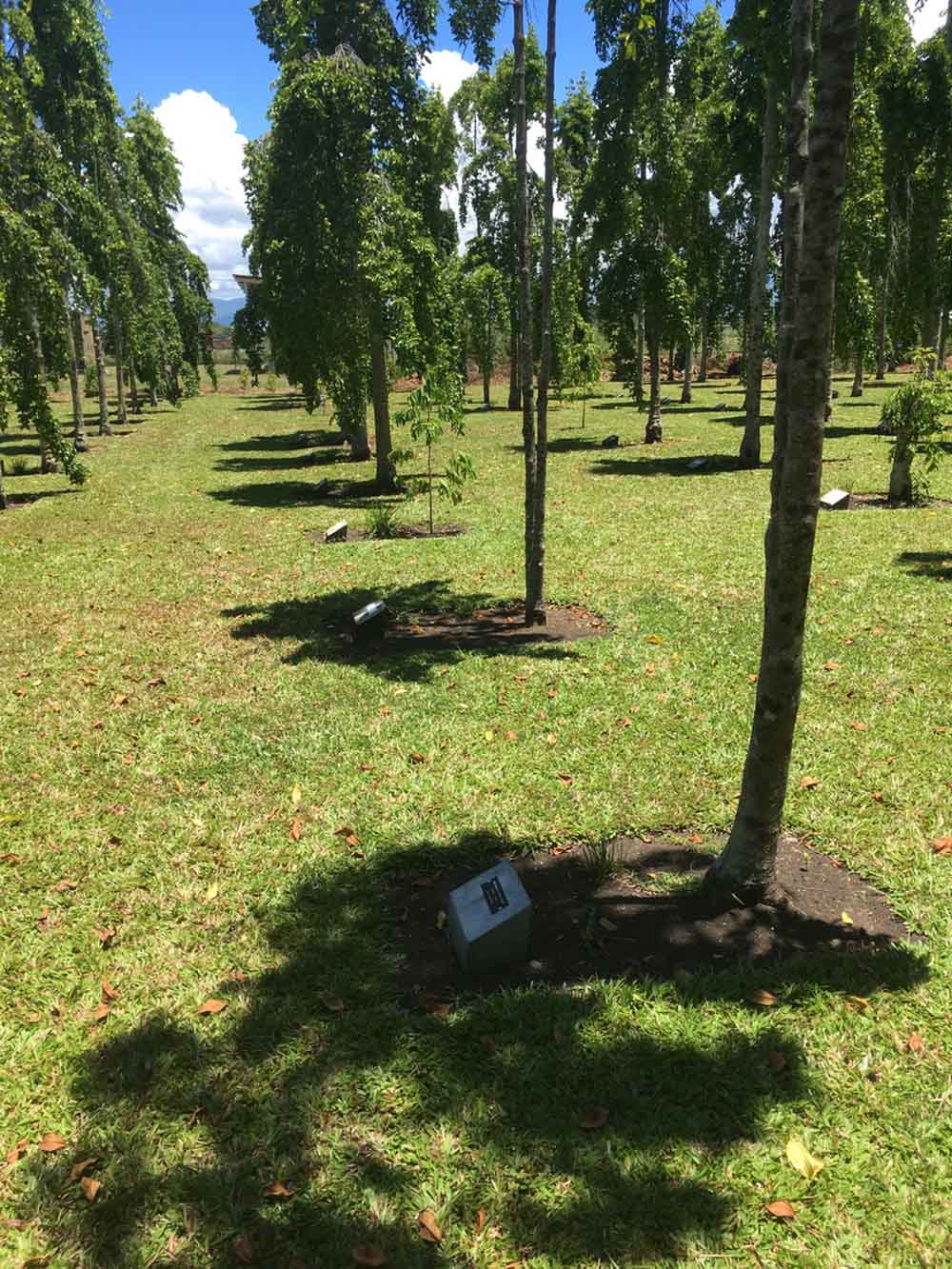 Solomon Islands Memorial Garden #4