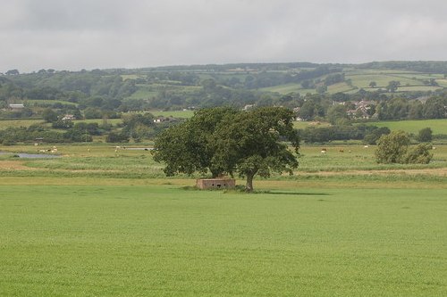 Bunker FW3/24 Axmouth #1