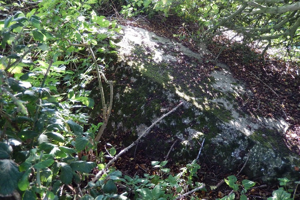 Sttzpunkt 212 Kornweihe - SK 305mm Geschtzstand (remains)