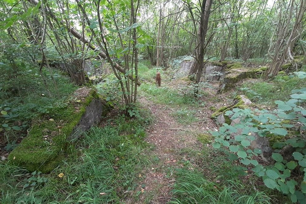 Flakstellung Zingsheim Bunker 4 #1