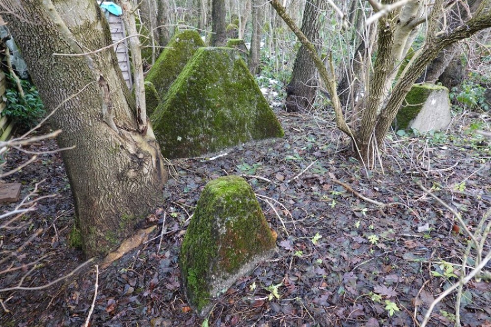 Westwall Dragon's Teeth