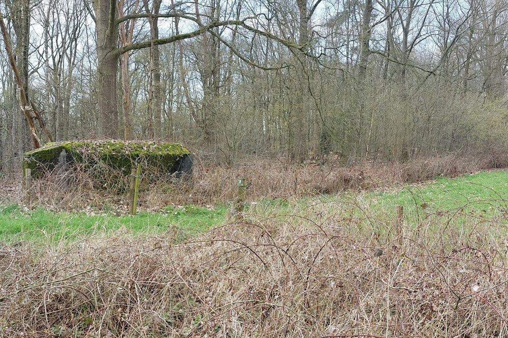 Peel-Raamstelling - B-casemate (90a) 35