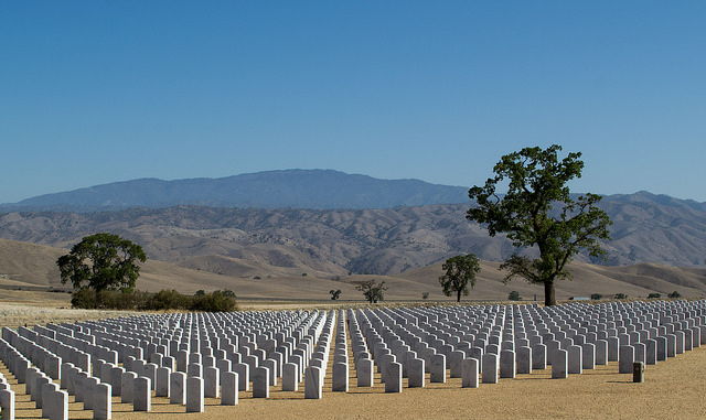 Bakersfield National Cemetery #1