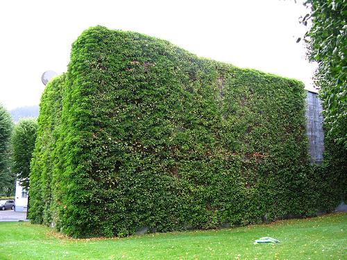 Duitse Bunker Vesting Bergenhus