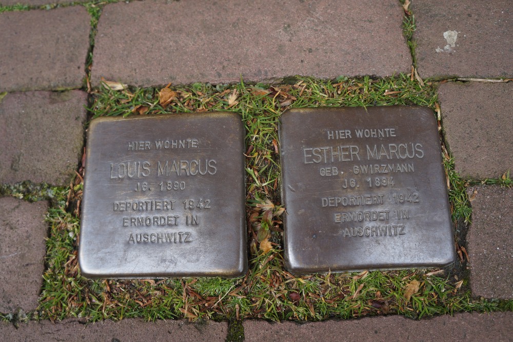 Stolpersteine Markt 12