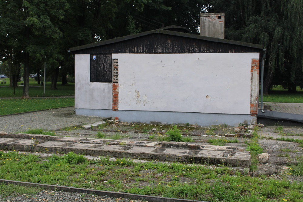 Remains Camp Jawischowitz #2