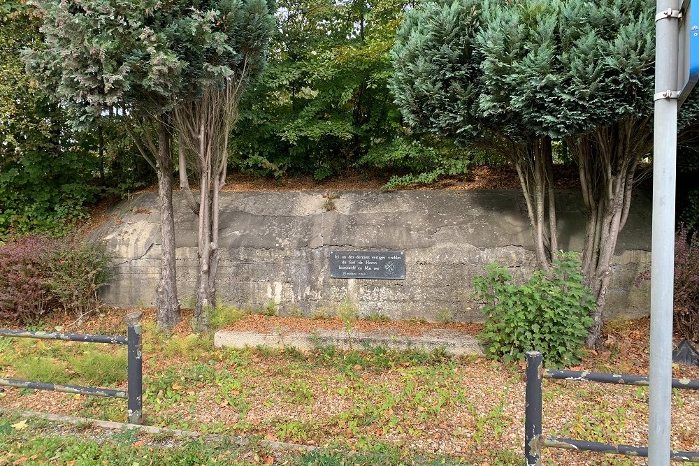 Fortified Position of Lige - Fort de Flron