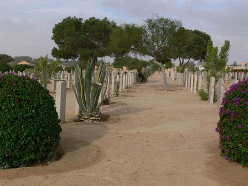 Commonwealth War Cemetery El Alamein #1