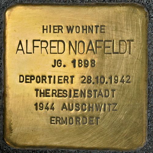 Stolpersteine Schönhauser Allee 113 #2