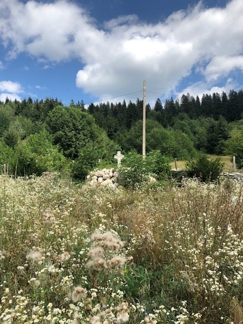 The Cemetery of the Fallen Heroes of the First World War #4