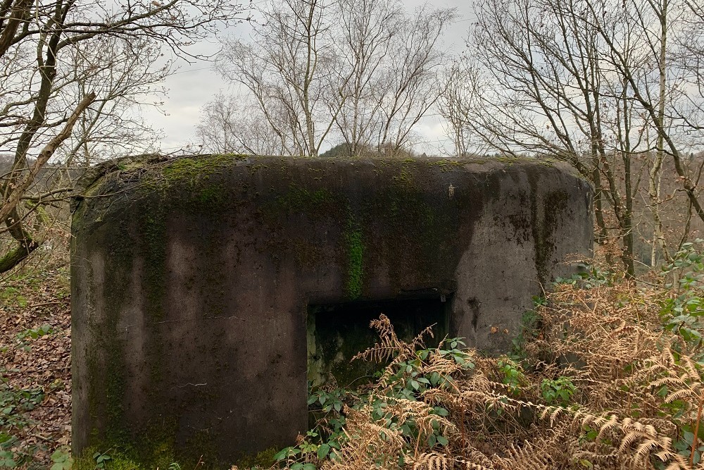 Bunker EC 3 Chaudfontaine #4