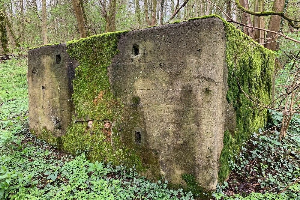 Bunker C - Position Avance Beusdael #4