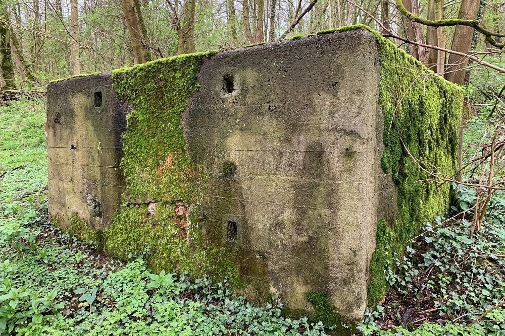 Bunker C - Position Avancée Beusdael #4