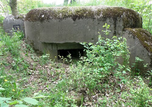 Polish Casemate