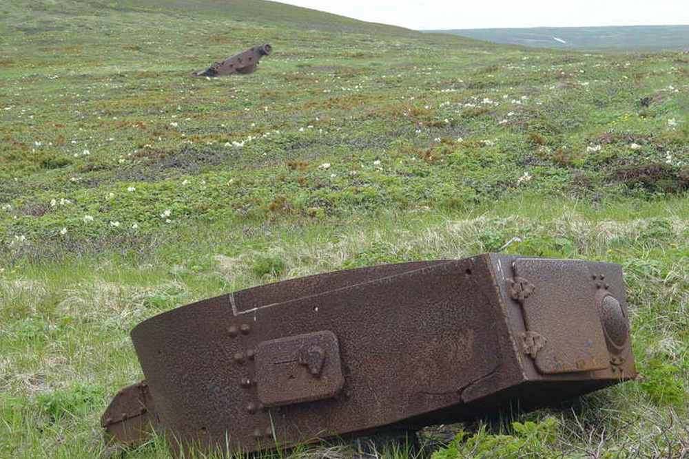 Uitgeschakelde Japanse Tanks #3