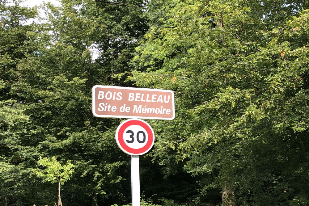 Site de Memire - Belleau Wood #1