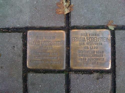 Stumbling Stones Flemingstraße 3 #1