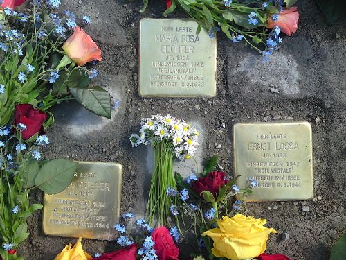 Stolpersteine Klosterring 4 #1