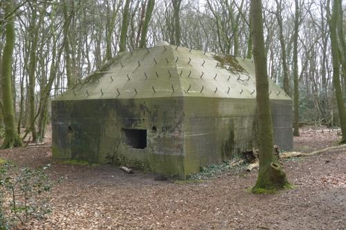 Group Shelter Type P Koggerbos #1