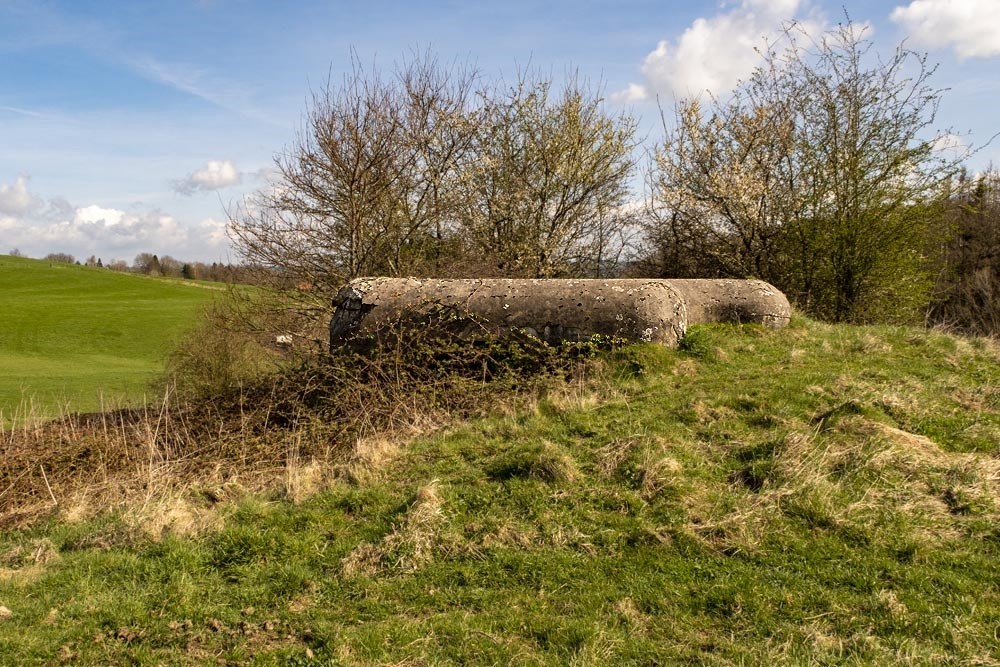 Verdedigingsbunker MN6 #2