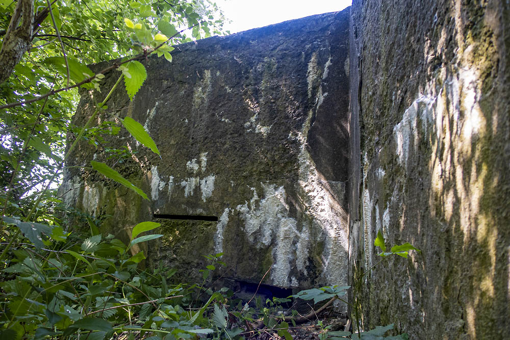 Mitrailleurbunker D Dekkingstelling Eigenbilzen-Briegden