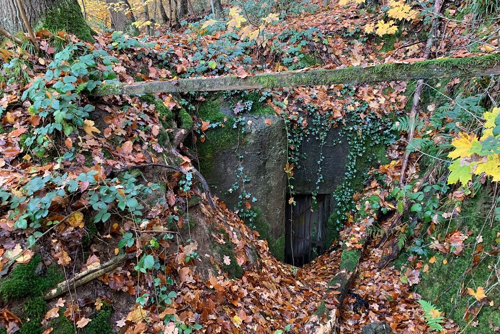 Bunker BV 23 Pepinster #4