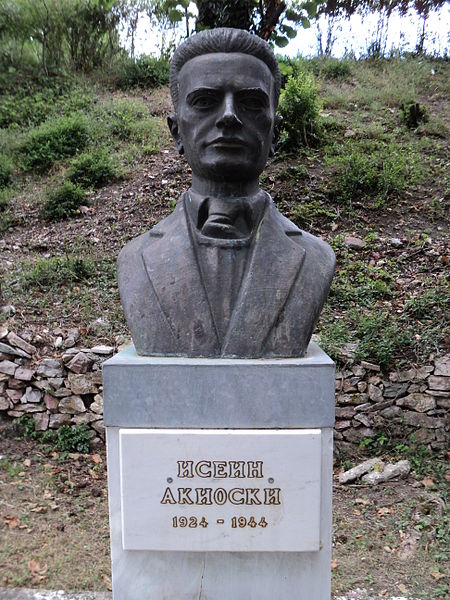 Bust Park Kichevo #3