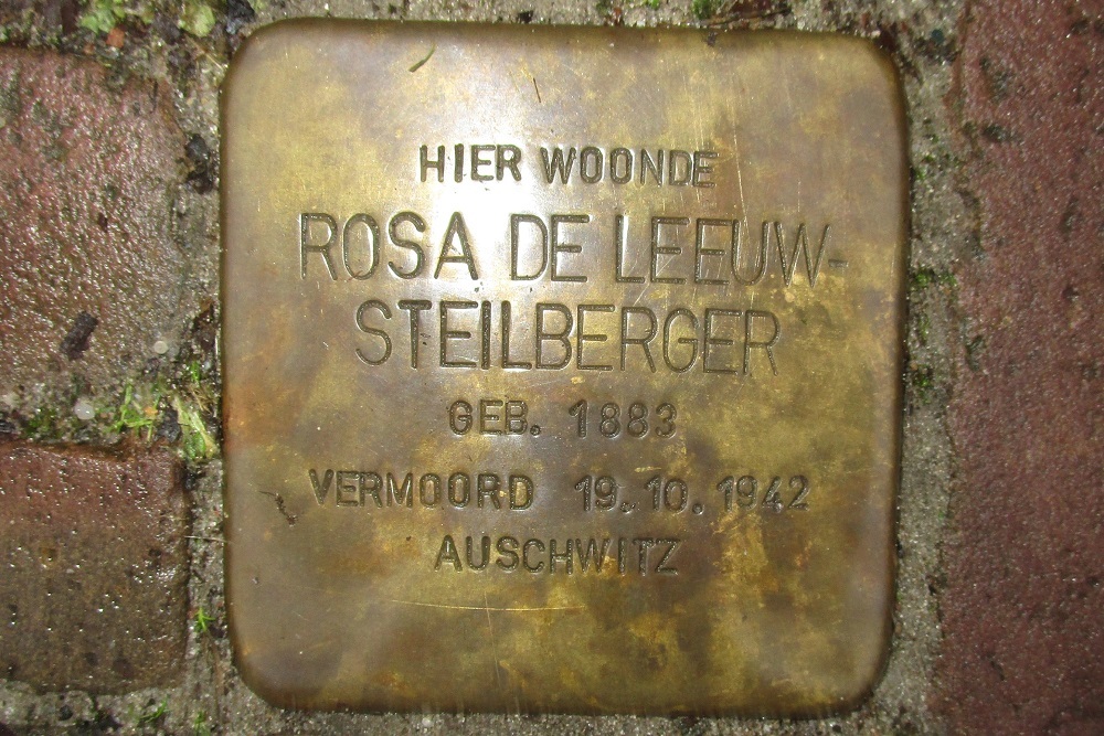 Stolpersteine Parallelweg LS 16 #2