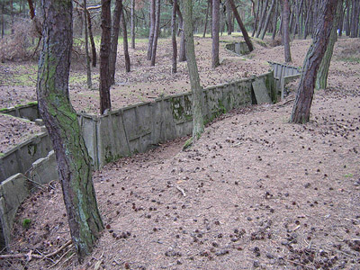 Reinforced Polish Trench #2