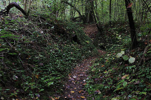 Fort du Bois-le-prtre #1