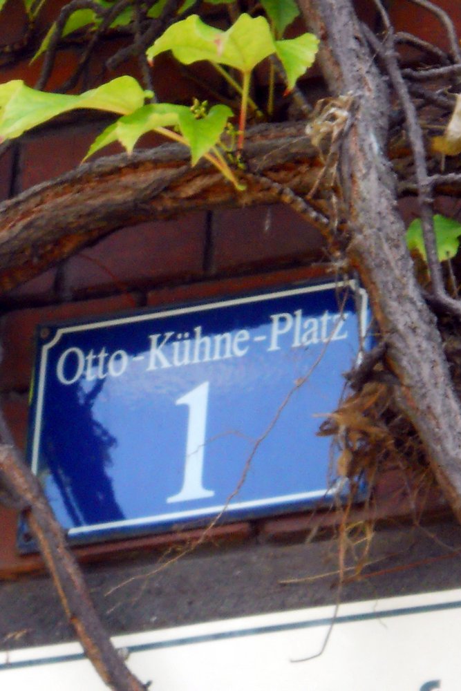 Otto Khne School #4