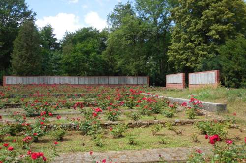 Soviet War Cemetery Gryfino #4