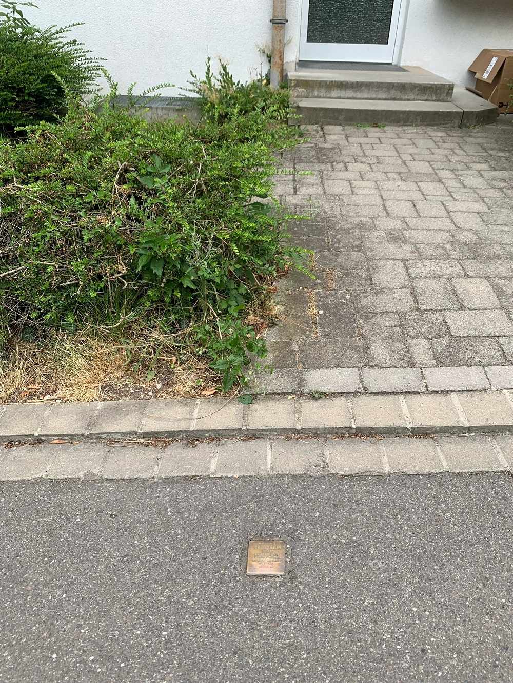 Stolperstein Dachswaldweg 178 #2