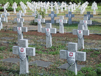 Polish War Cemetery Kwirynw #2