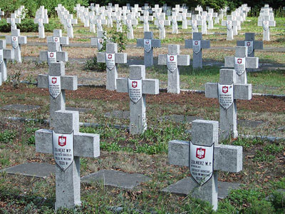 Polish War Cemetery Kwirynów #2