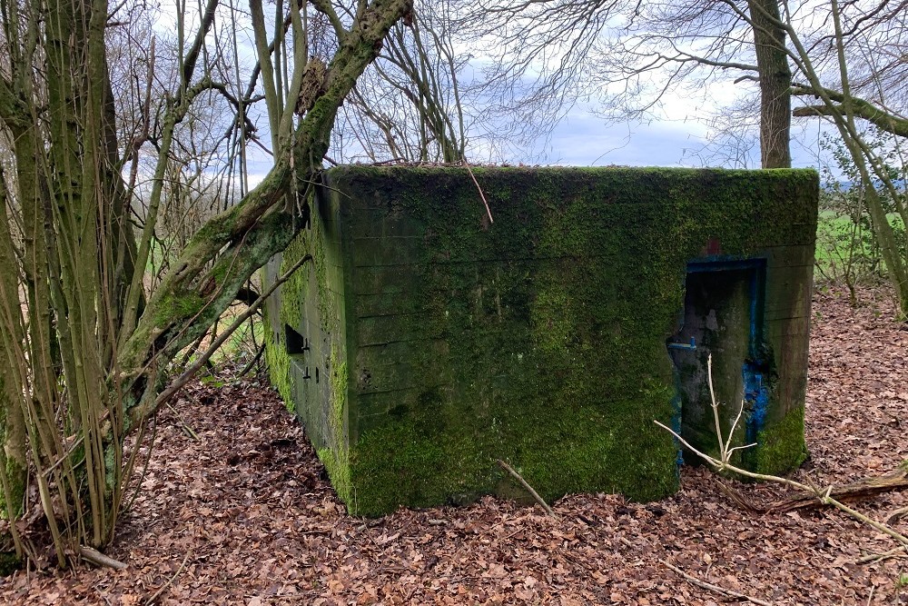 Bunker D - Advanced Position Grunhaut #3